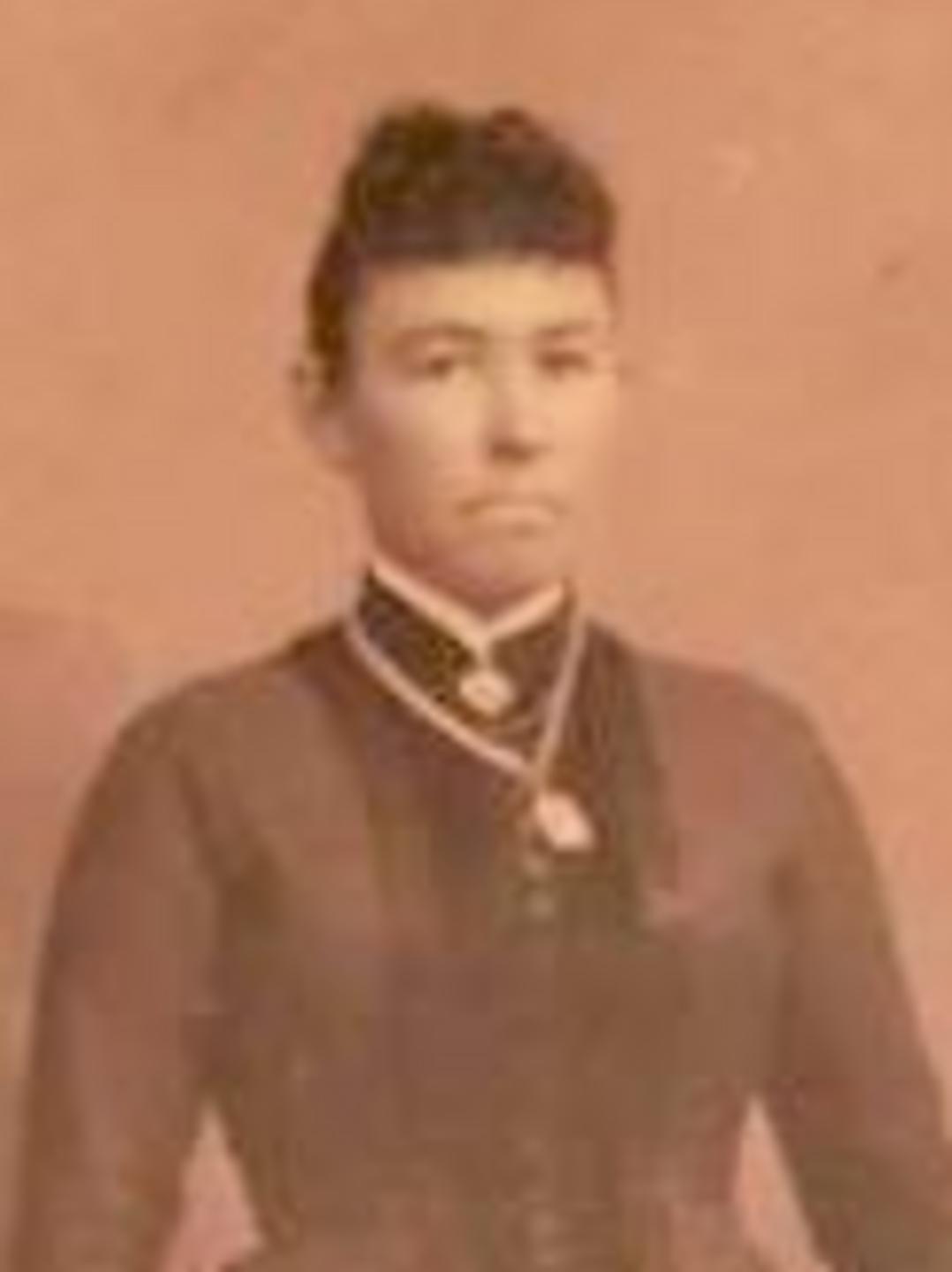 Sarah Elizabeth Davis (1856 - 1917) Profile